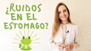 Sonidos En El Estómago Borborigmos Por Qué Aparecen Y Como Evitarlos?