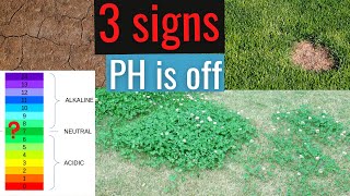 3 signs of HIGH soil PH & How to fix it!