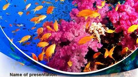 Coral Reef Fishing PowerPoint Template by PoweredTemplate.com