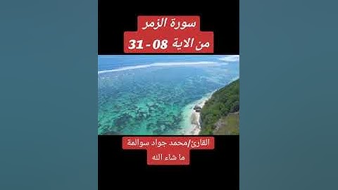 سورة الزمر 08-31: القارئ/محمد جواد سوالمة