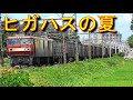 夏空と東北本線の貨物列車 ヒガハス