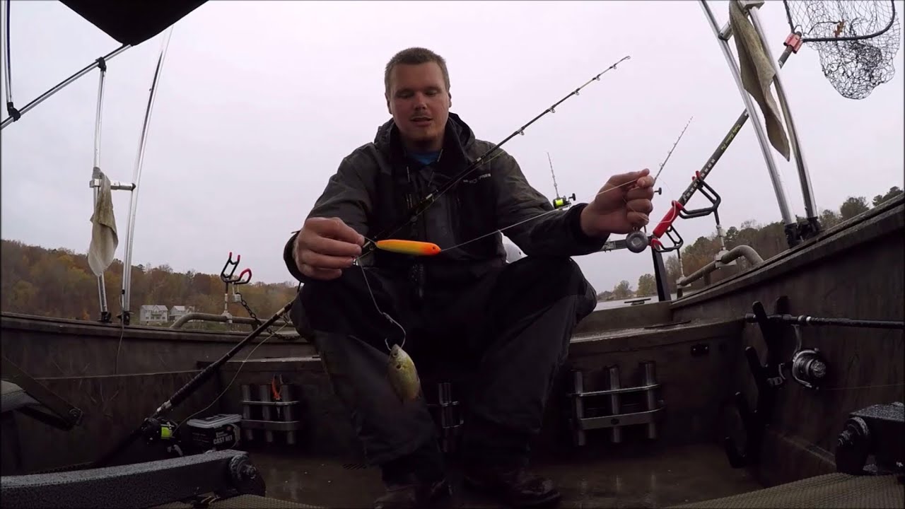 Our go to rig for Flathead Catfish - YouTube
