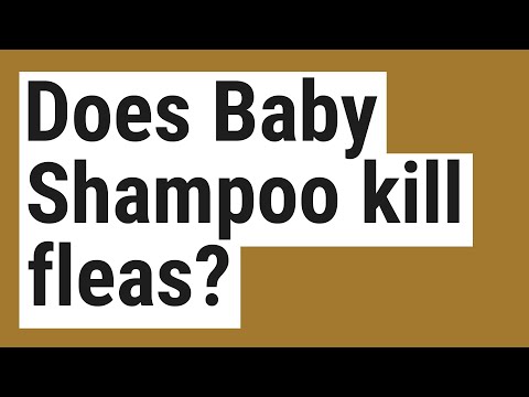 does johnson baby shampoo kill fleas