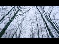 "The Next Episode" - A short film by Roman Sadovsky