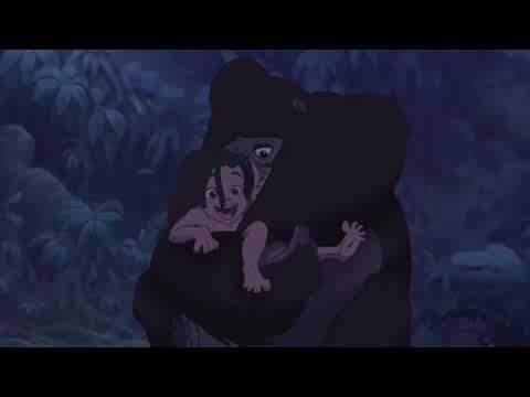 Tarzan Como Um
