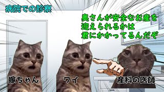 嫁が妊娠中つわりで地獄を見た話、前編【猫ミーム】【猫マニ】