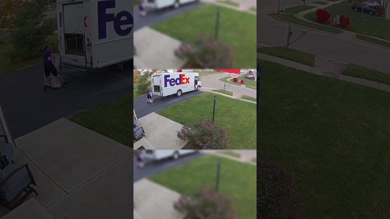 Ain't no way 💀 (🎥: humblebeeboutique)