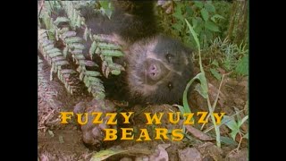 Growing Up Wild: Fuzzy Wuzzy Bears