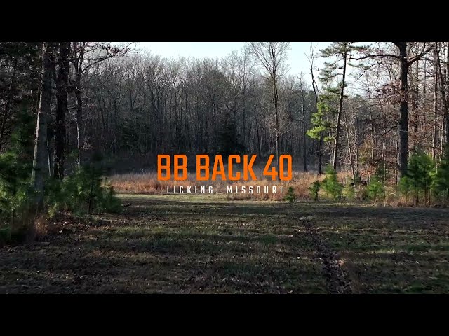 BB BACK 40 | LICKING, MISSOURI