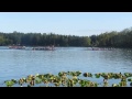 ★ Canadian Dragon Boat Championships 2013 Day 3 Race 100 PDPC & U of T New College