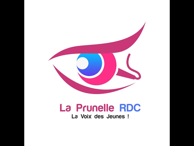 Journée de la Jeunesse | Face à face - Concours Génies en herbe - Résolutions 1325 et 2250