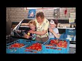 2017 10 jaar HaDee