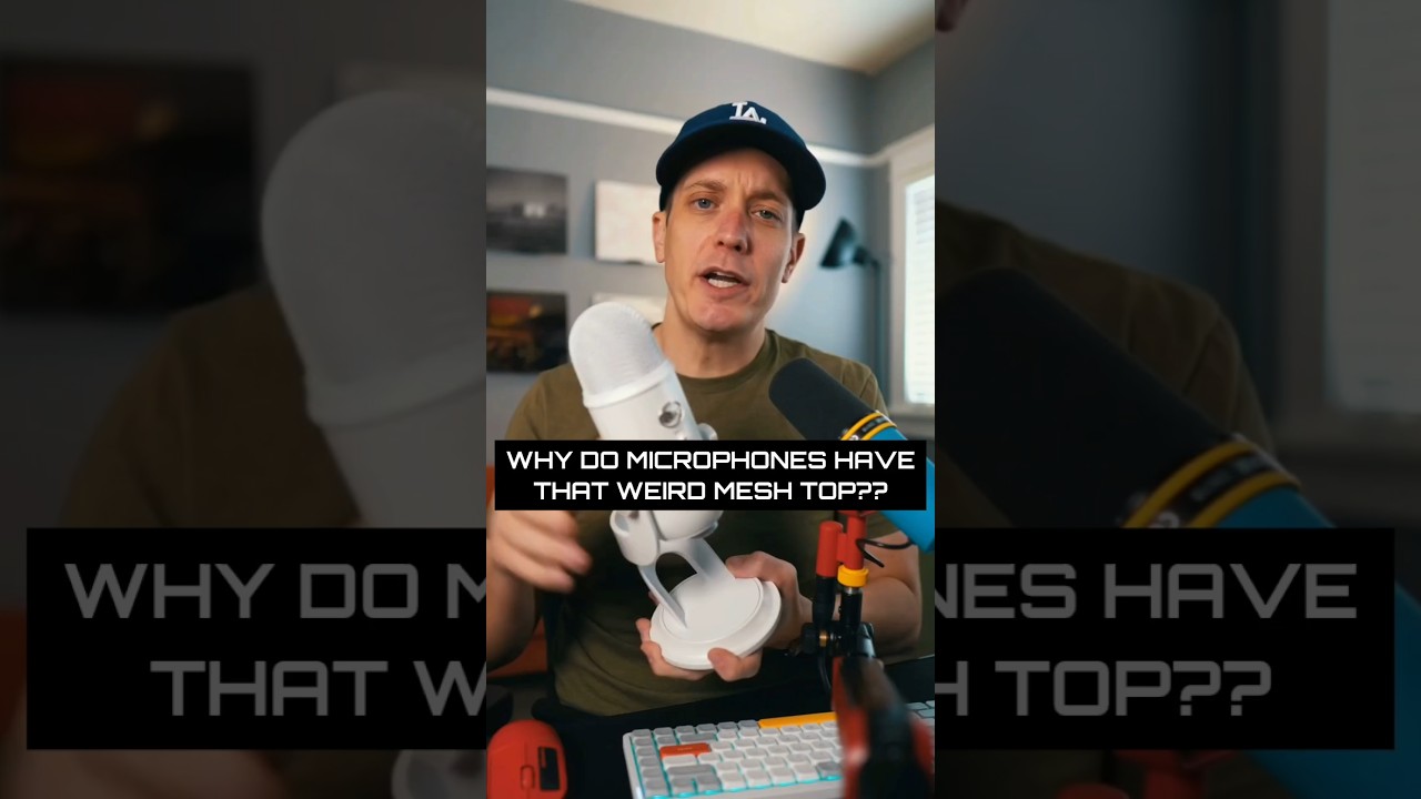 Why do Mics have this weird Mesh Top?