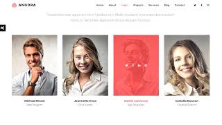 Angora - Responsive One Page Parallax WordPress Theme