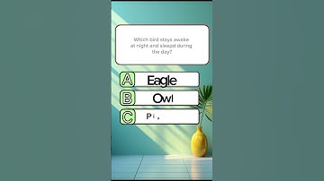 Can you get 6/6 ? #shorts #quiz #quizzes #englishquiz #quiztime #generalnowledge