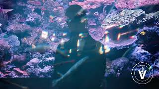 BACKWHEN x WATERMANE - Deep Water
