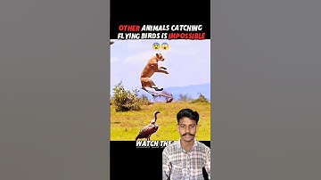 Top Learning Tools 🛠️ for Tech Enthusiasts 🔥😱 | #shorts #learning #gadgets