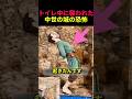 トイレ中に襲われた 中世の城の恐怖