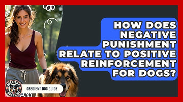 How Does Negative Punishment Relate To Positive Reinforcement For Dogs? - Obedient Dog Guide
