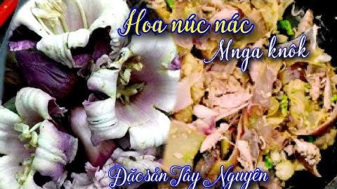 Núc nác- món ăn lạ mắt lạ miệng/ djam boh knôk