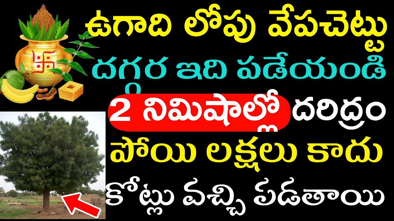 ఉగాదిలోపు వేపచెట్టు దగ్గర ఇది పడేయండి 2 నిమిషాల్లో దరిద్రం పోయి లక్షలు కాదు కోట్లు వచ్చి పడతాయి
