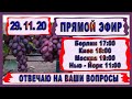 🍇  29 Ноября. Стрим. Укоренение черенков винограда на воде