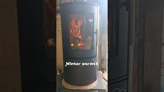 Indoor Wood BurningStove|Modern Round Freestanding Fireplace for Home WinterHeating#woodburningstove