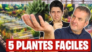 Quelles plantes ultrafaciles pour votre aquarium sans effort ? ‍  Floraquatic