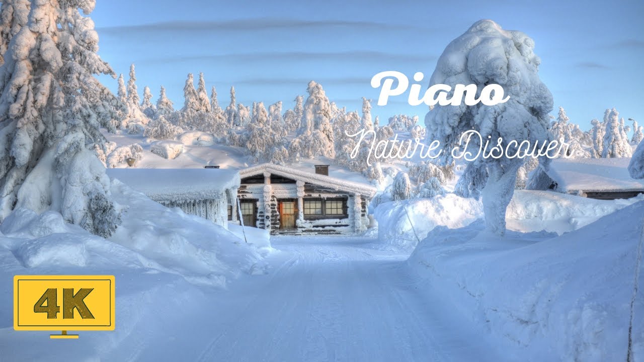 Live Relaxing music 24/7 to study, stress relief music, yoga, zen and sleeping - Piano and Flute