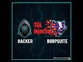 SQL Injection in WHERE Clause | Retrieve Hidden Data | PortSwigger Lab-1 Walkthrough