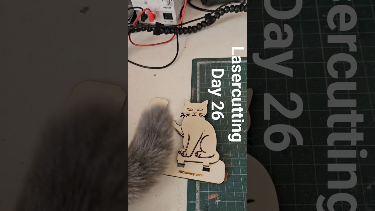 Lasercutting every day for 100 days_026  