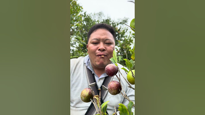 Does anyone like eating plums like Pao? #bushcraft #survival #camping #shorts