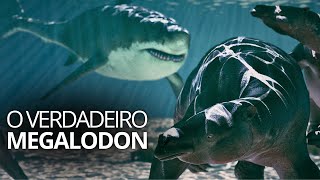 A vida (e a morte) do Megalodon