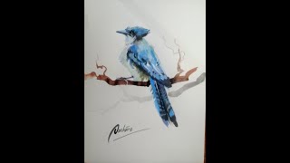 how to draw a pretty bird (watercolor)