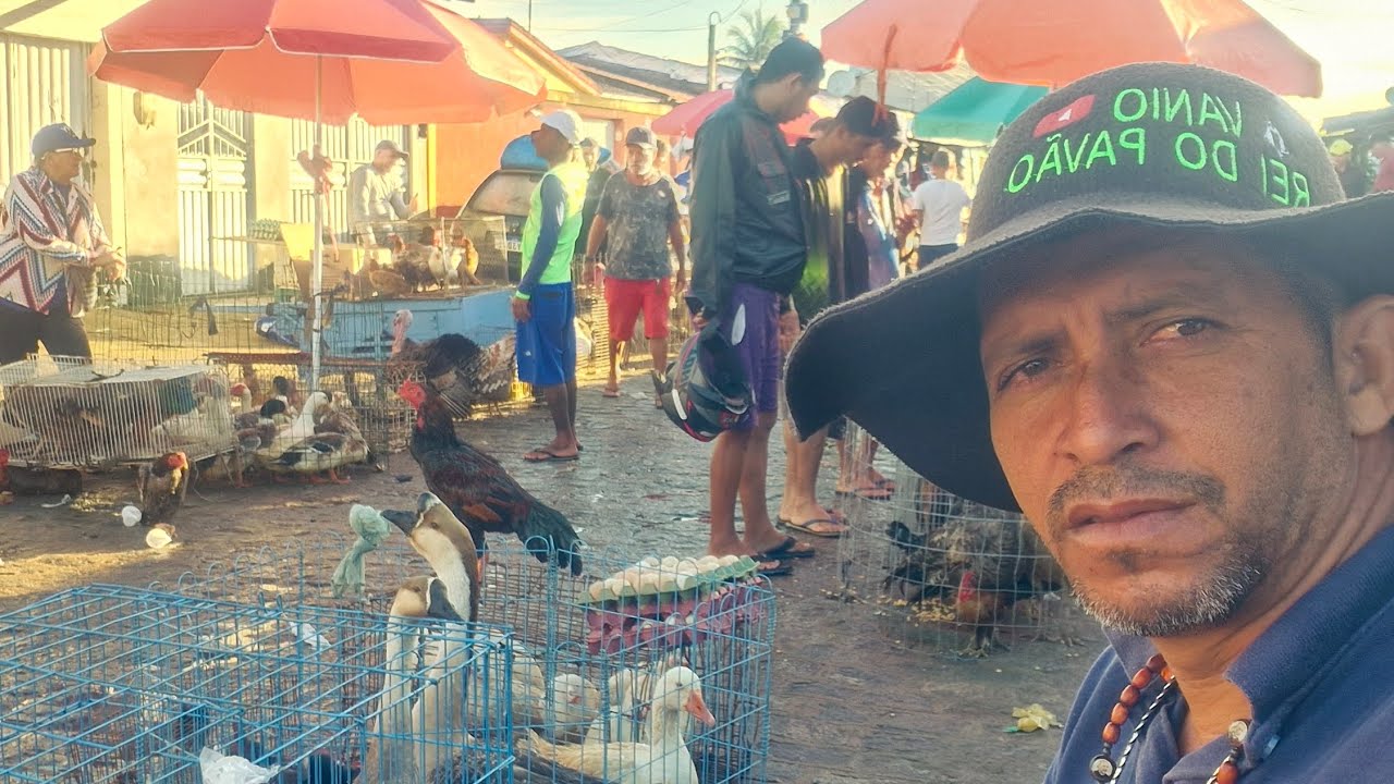 VANIO NA FEIRA DE ARAPIRACA-AL NA FUMAGEIRA #NORDESTE