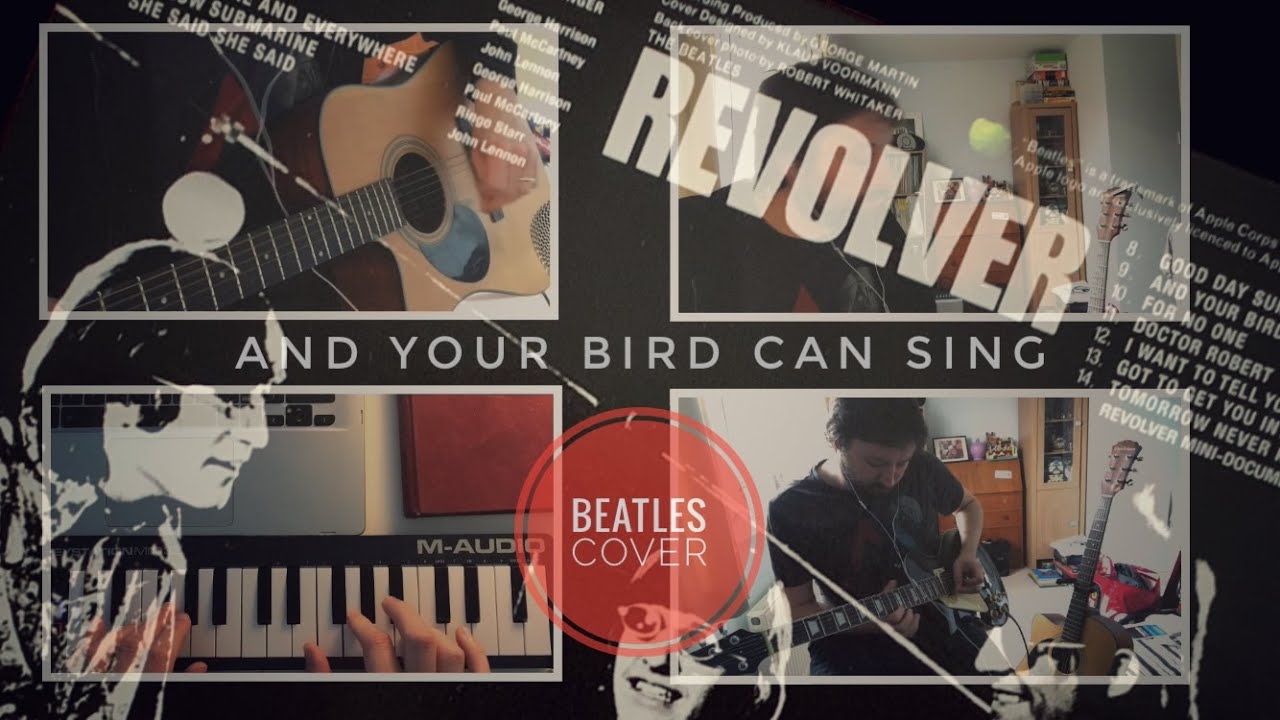 And Your Bird Can Sing Beatles Cover Song YouTube And your bird can sing beatles cover song youtube