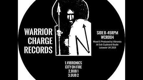 Anja G & Dr.Obi / Vibronics - Police brutalitiy / City on Fire - 12