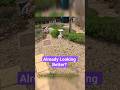 Garden Tidy Up - The Cleaning (3 of 5)