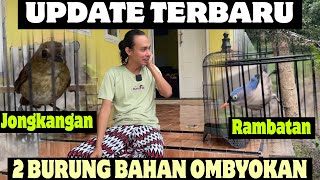 LATEST UPDATE ON 2 BIRDS BAHAN JONGKANGAN & RAMBATAN screenshot 4
