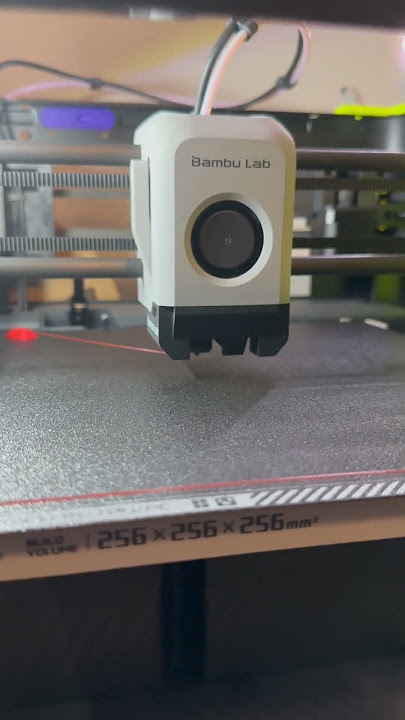 Bambu Lab P1P extreme bridge test (300mm)