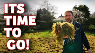Wake up your lawn Spring is HERE - Let’s jump right into it! by Premier Lawns 11,557 views 1 month ago 6 minutes, 44 seconds