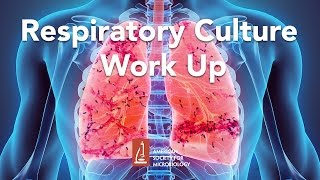 Respiratory Culture Work Up by Yvette S. McCarter, PhD