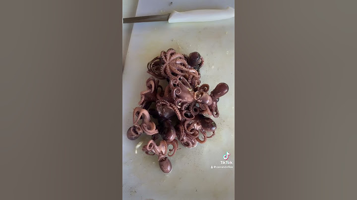 Botana de caracol pulpo y camarón sabor #nayarit