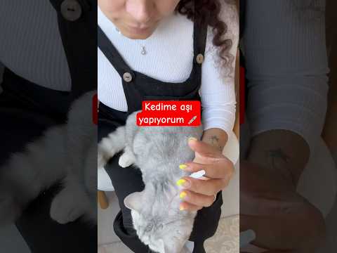 Kedime nasıl dış