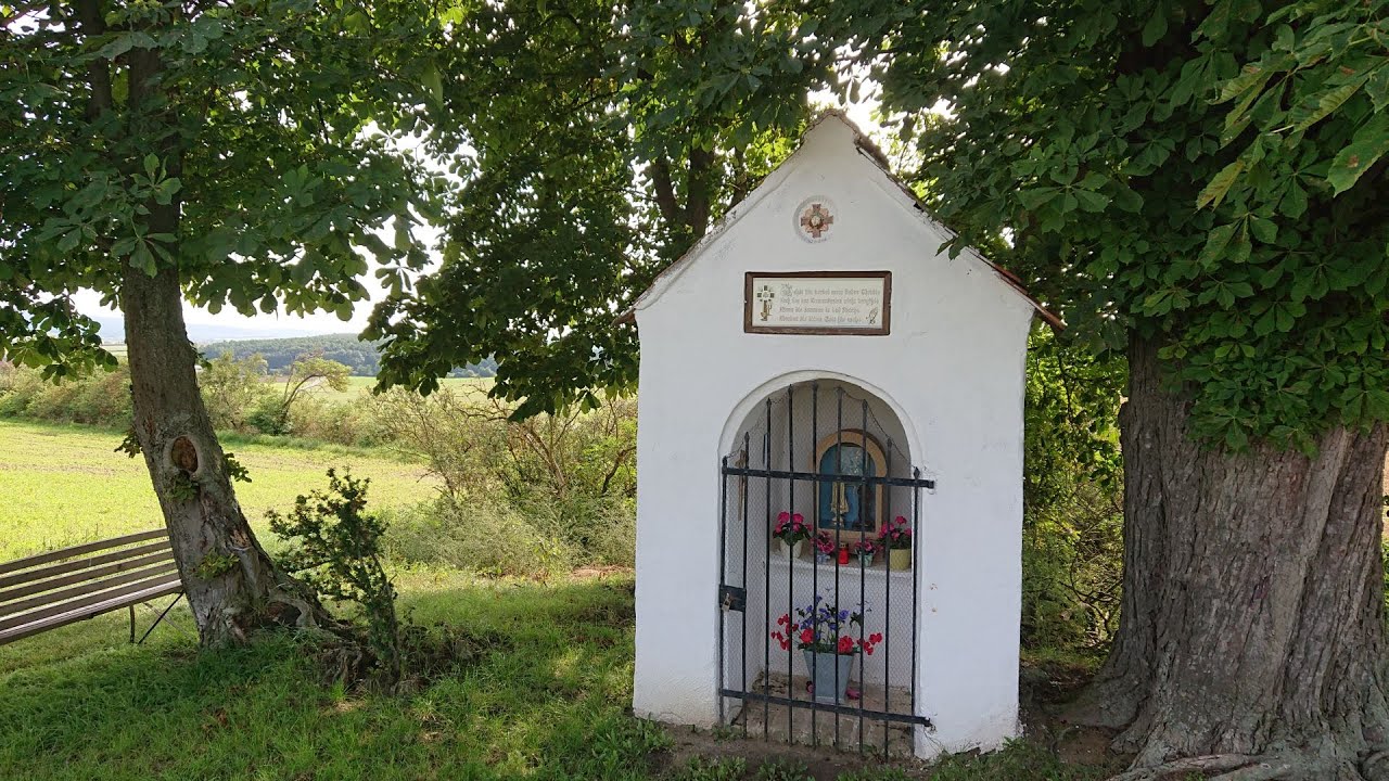 Fusswallfahrt #1 Horn - Maria Dreieichen