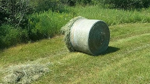 Netwrap Issues--what