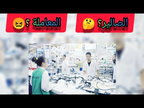 كل ما يخص شركات صناعة السيارات الكابلاج Câblage الصالير المعاملة تمارة قبل مادفع سمع هاد الفيديو