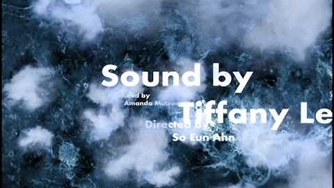 IAT 202 Title Sequence