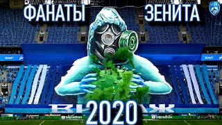 Фанаты Зенита - 2020