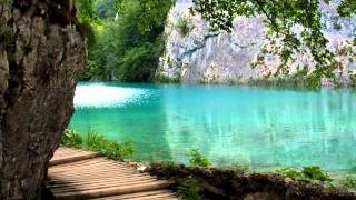 عادل ريان AlMa'un_الماعون Adel-Rayan